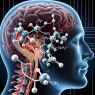 Cómo afecta L-Thyroxine Sodium/Levothyroxine Sodium (LT4 sodium) al sistema vestibular