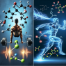 Cómo influye Clenbuterol en actividades explosivas