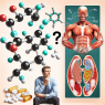 Telmisartan y congestión muscular: ¿aumenta o no?