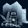 Methandienone inyectables y cannabis: riesgos y confusiones